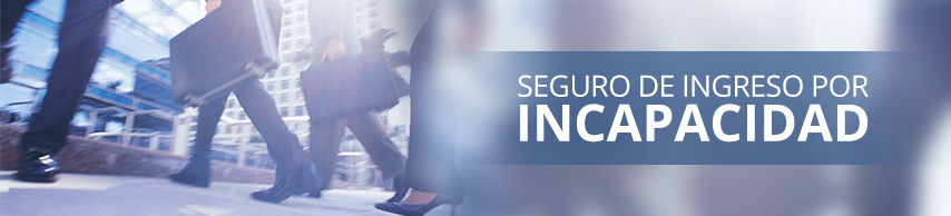 Seguro de ingreso por incapacidad Seguro de ingreso por incapacidad