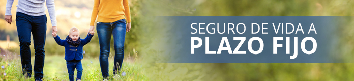Seguro de vida a plazo fijo Seguro de vida a plazo fijo