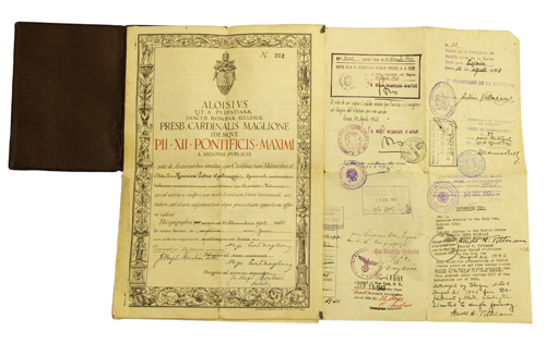 Vatican Passport