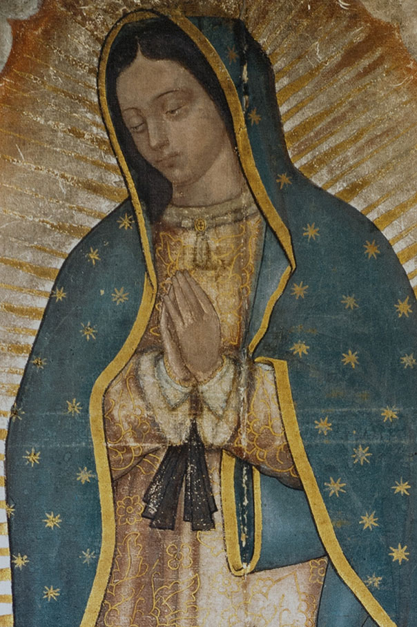 our-lady-of-guadalupe-tilma-debunked-gilbert-buchanan-buzz